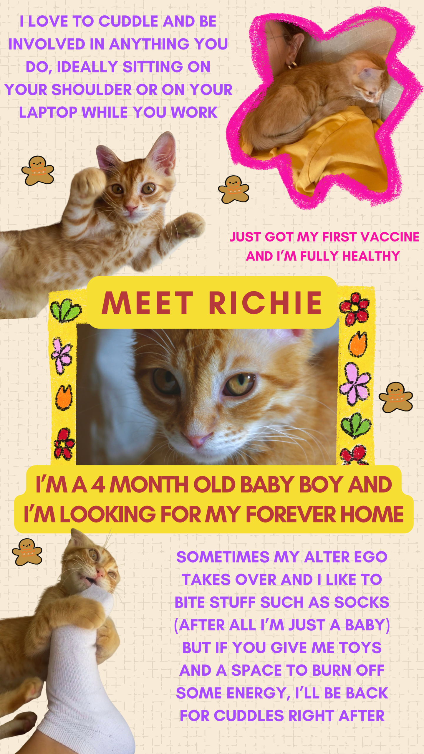 Simple-and-Fun-Photo-Pet-Adoption-Instagram-Post-Instagram-Story