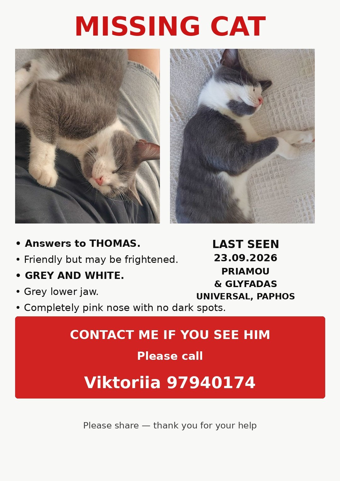 Thomas_missing_cat_poster_location_up